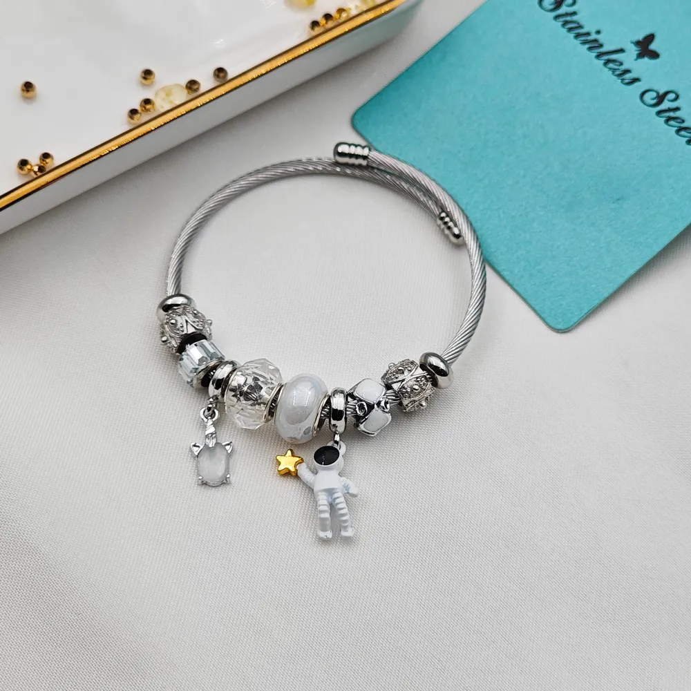 Stainless Steel Pandora Bileklik
