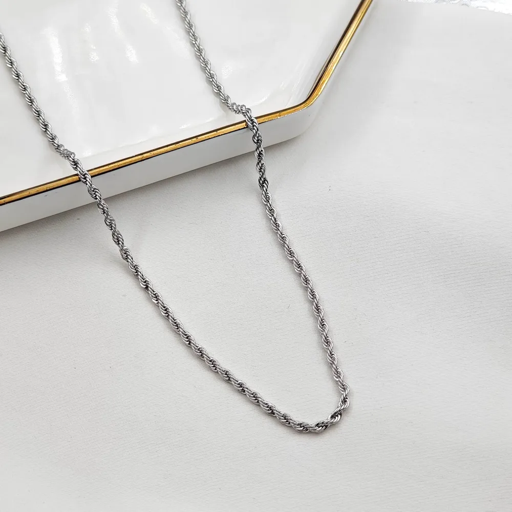 Stainless Steel Burgu Kolye